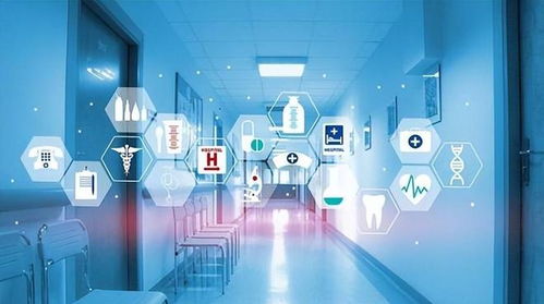 放開絕非躺平 蘇州與上海引領智能科技發展新浪潮